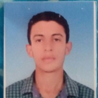 وائل شحات حامد شاهين