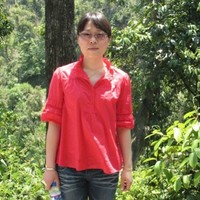 袁丽波