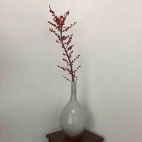 白文君