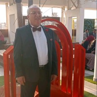 Tarek Abd Elfattah