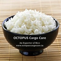 RICE Octopus Cargo Care