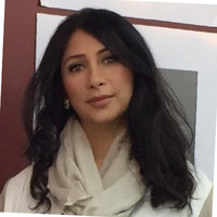 elham kazemi