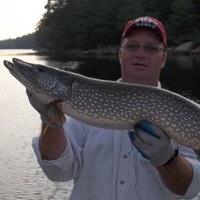 Greg Ferguson