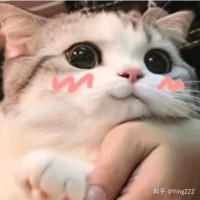 张忠贵
