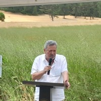 Nezih Suyaran