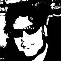 Ton Veldhuis