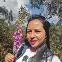 Ana Lucia Camayo Cortes