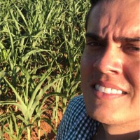 José Roberto Cunha Junior