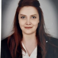 Burcin Guzel