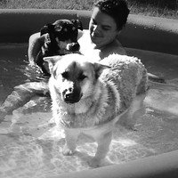 Jan-Michael Schoeman