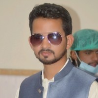 Shahid ul Hassan Shah