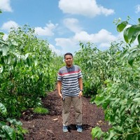 Ogi Saputra