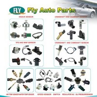 Fly Fly