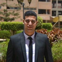 Elsayed Nasser