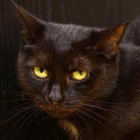 Fundacja Azyl Nadziei