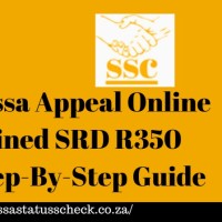 Sassa Status Check