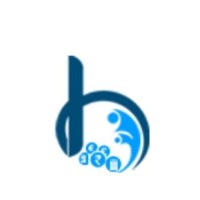 Bricks Solutions Financial Consultancy