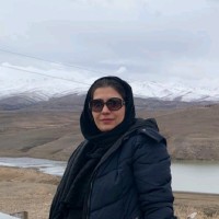 Fereshteh Heydari