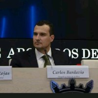 Carlos Bardavío Antón