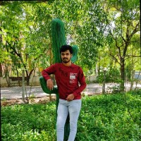 Vasanthakumar T