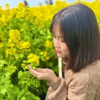 Mỹ Linh Tống