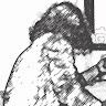 Luca Piccolo