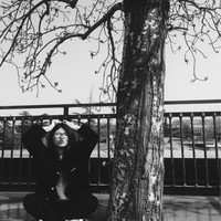 Yangyang Xin