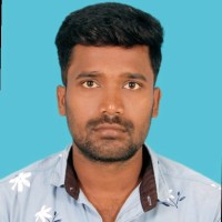 Dhineshkumar P