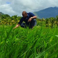 Thoufik Rahuman Amanullah