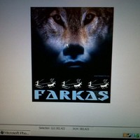 Allan Farkas