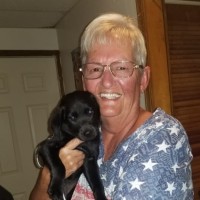 Kay Neal