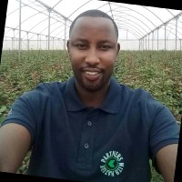 Chris Gitau
