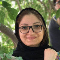 toktam hashemi