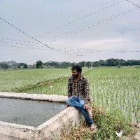 bhadra m