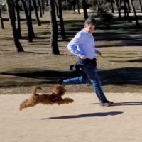 Jose Antonio Boudere