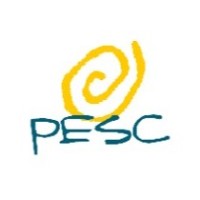 PESC FEA USP
