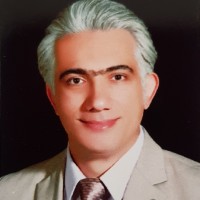 Iman Lotfi
