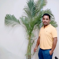 Vikash negi