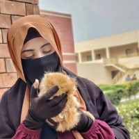 Rabia Abdullah