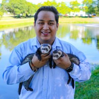 Josue Perdomo