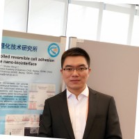 Haijun Cui