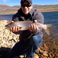 Travis Hanberg