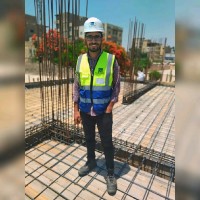Mahmoud N. Harraz