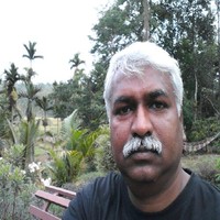 Ruban David