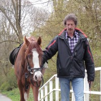 Bert Van Muijen
