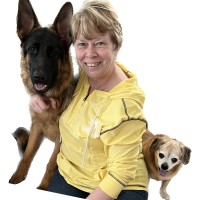 Robin Damron M.S., CISM,  Cybersecurity Manager, Author