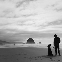 Olivier Ward