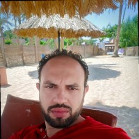 Hassan Magdy Mostafa Mostafa
