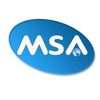 msa it