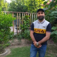 Luqman Manzoor
